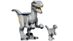 Blue & Beta Velociraptor Capture, zdjęcie 6