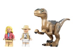 Velociraptor Escape, zdjęcie 5