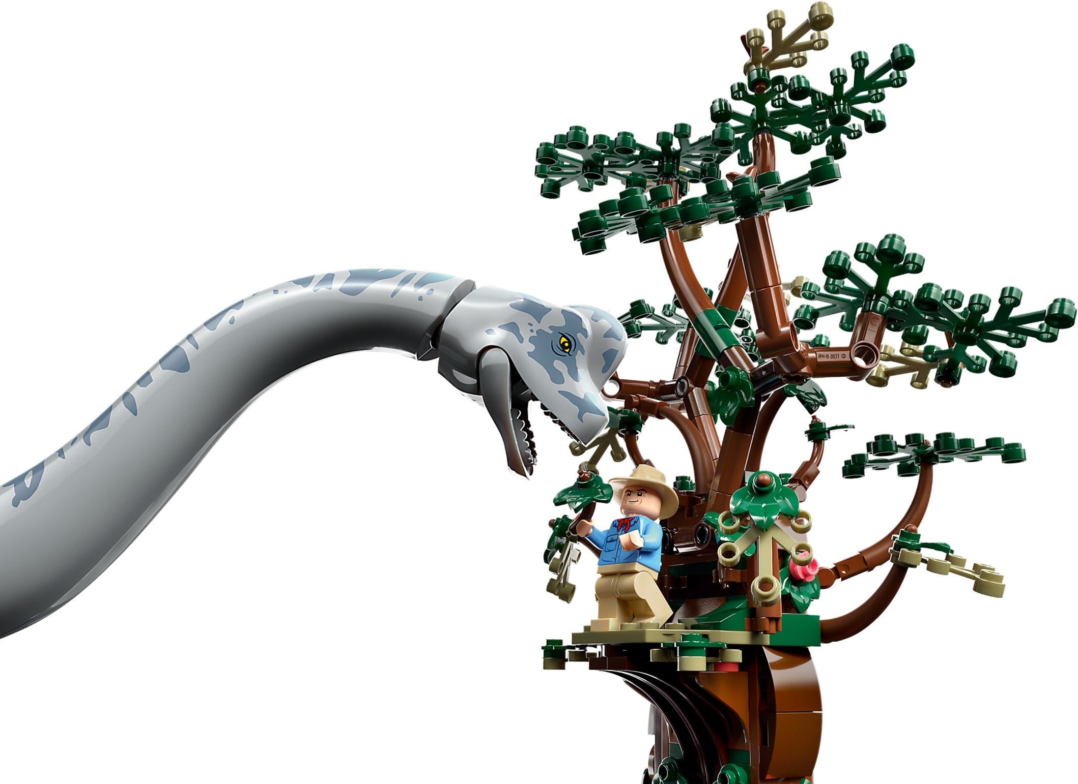 Brachiosaurus Discovery