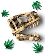 Dinosaur Fossils: T. rex Skull, zdjęcie 3