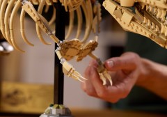 Dinosaurusfossielen: Tyrannosaurus rex LEGO-set afbeelding 9