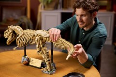 Dinosaurusfossielen: Tyrannosaurus rex LEGO-set afbeelding 10