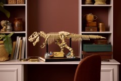 Dinosaurusfossielen: Tyrannosaurus rex LEGO-set afbeelding 12