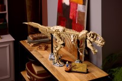 Dinosaurusfossielen: Tyrannosaurus rex LEGO-set afbeelding 13