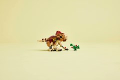 Baby Dinosaur Dolores: Aquilops