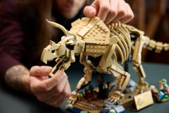Dinosaurusfossielen: Triceratops LEGO-set afbeelding 11