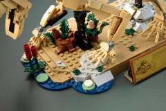 Dinosaurusfossielen: Triceratops LEGO-set afbeelding 12