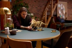 Dinosaurusfossielen: Triceratops LEGO-set afbeelding 14