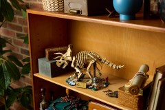 Dinosaurusfossielen: Triceratops LEGO-set afbeelding 16