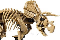Dinosaurusfossielen: Triceratops LEGO-set afbeelding 6