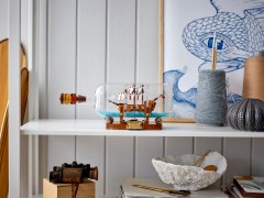 Ship in a Bottle, zdjęcie 10