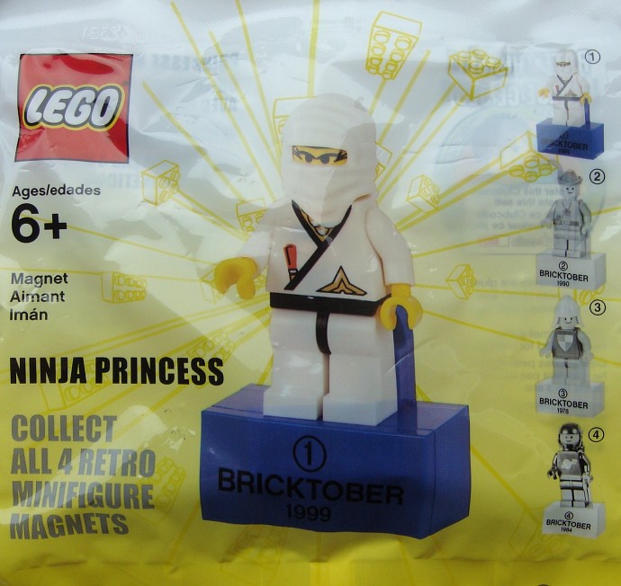 LEGO 2856223 Ninja Princess