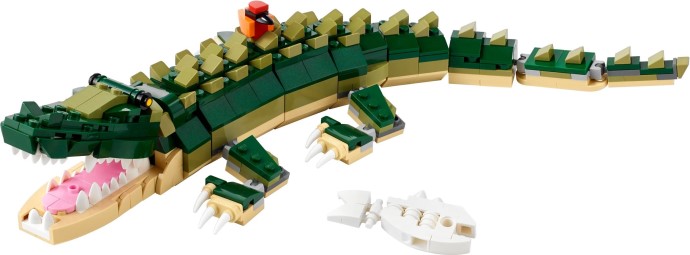 Crocodile