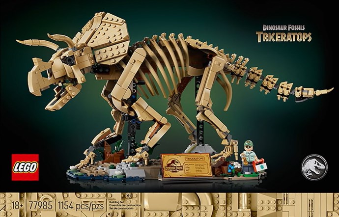 Dinosaur Fossils: Triceratops
