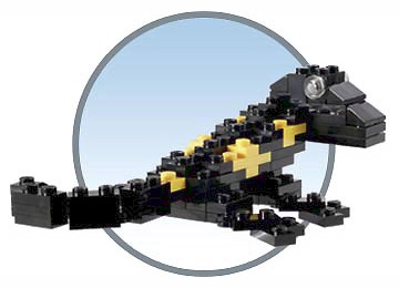 LEGO COLUMBUS {Salamander}