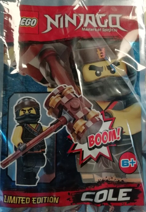 LEGO 891839 Cole