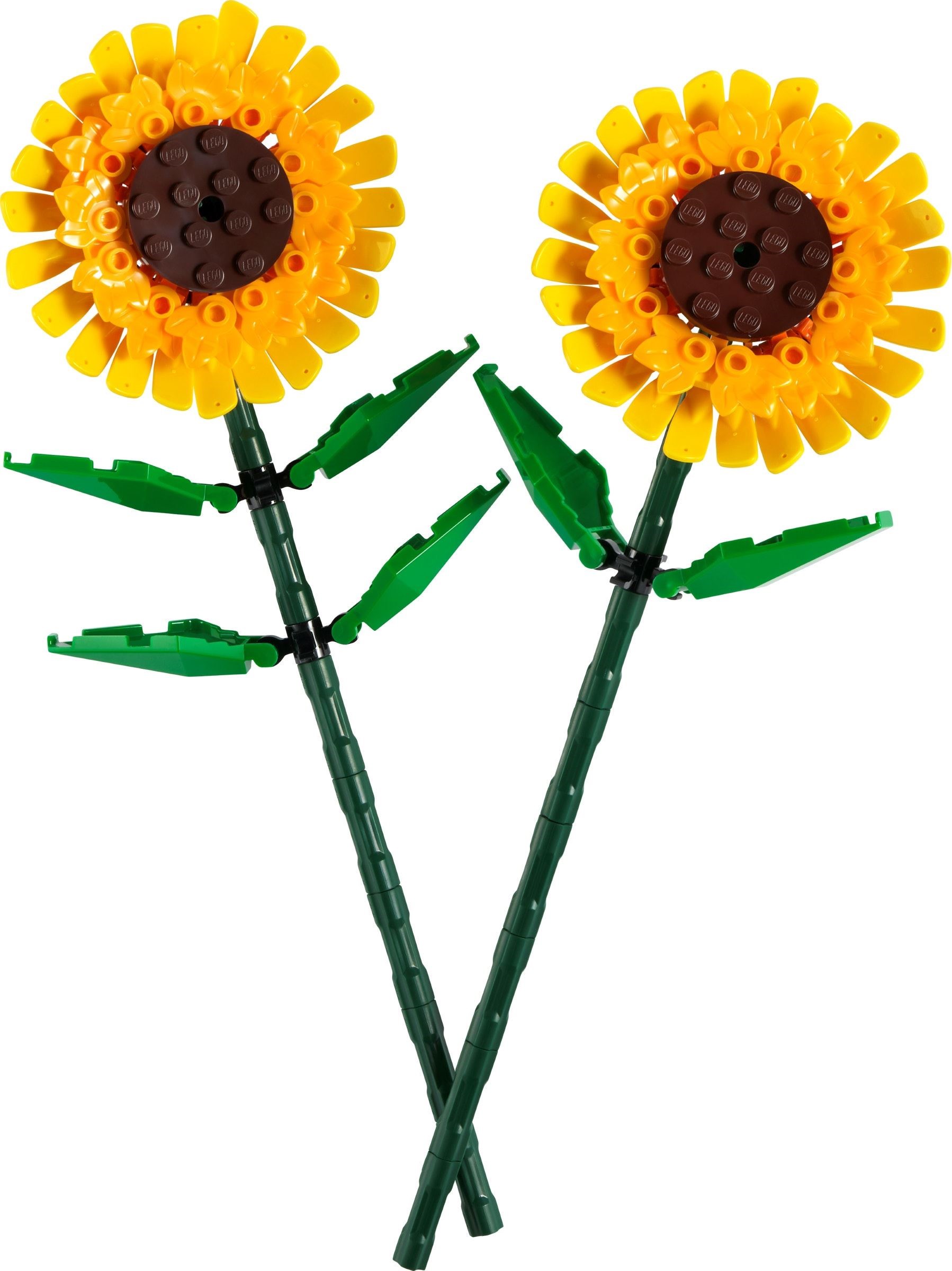 catégorie}} LEGO Botanical Collection - Acheter LEGO - Yottabrick