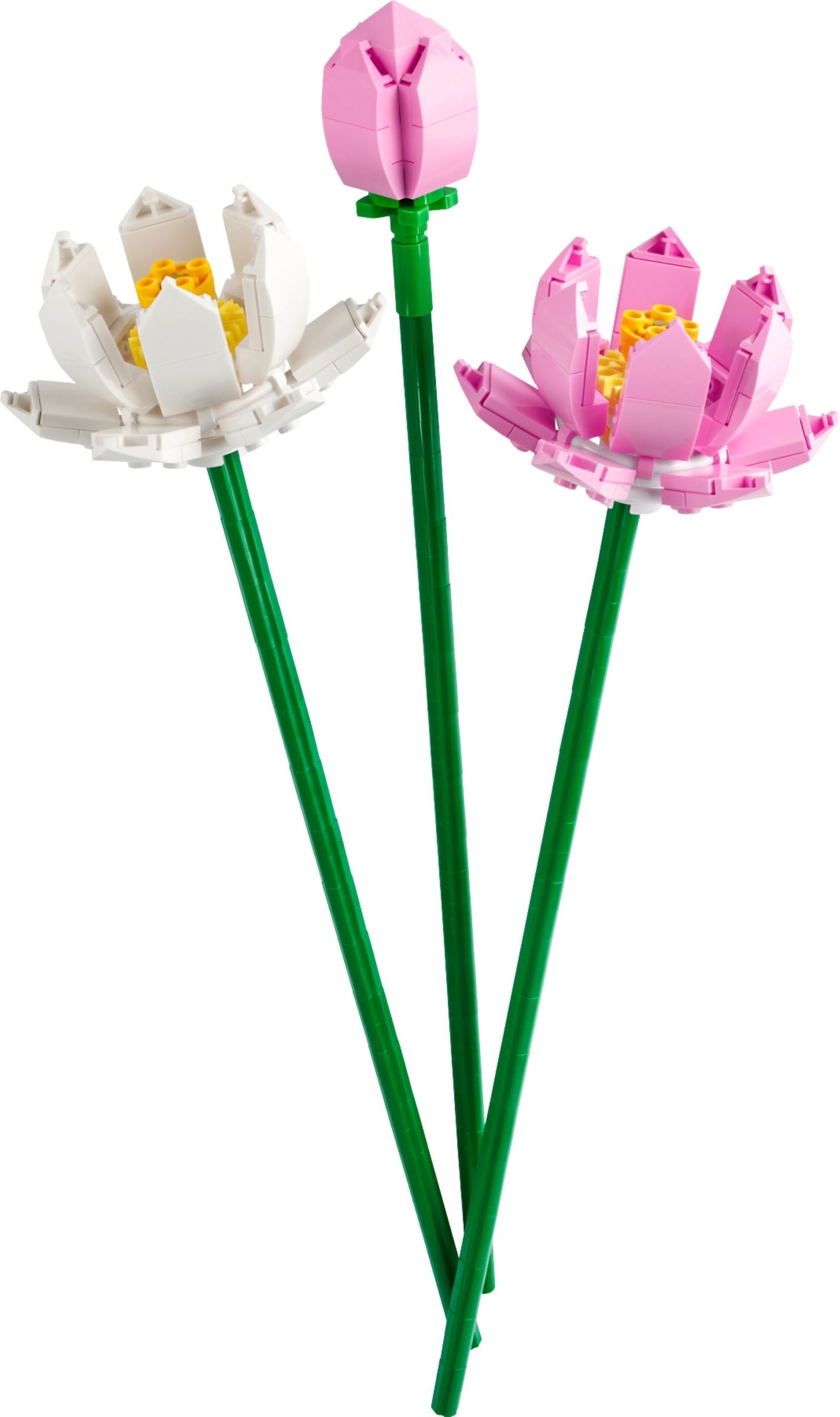 Tulips 40461, The Botanical Collection