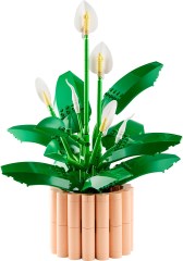 <h1>Peace Lily</h1><div class='tags floatleft'><a href='/sets/11504-1/Peace-Lily'>11504-1</a> <a href='/sets/theme-Botanicals'>Botanicals</a> <a class='subtheme' href='/sets/subtheme-Botanical-Collection'>Botanical Collection</a> <a class='year' href='/sets/theme-Botanicals/year-2026'>2026</a> </div><div class='floatright'>©2026 LEGO Group</div>