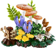 <h1>Woodland Mushrooms</h1><div class='tags floatleft'><a href='/sets/11505-1/Woodland-Mushrooms'>11505-1</a> <a href='/sets/theme-Botanicals'>Botanicals</a> <a class='subtheme' href='/sets/subtheme-Botanical-Collection'>Botanical Collection</a> <a class='year' href='/sets/theme-Botanicals/year-2026'>2026</a> </div><div class='floatright'>&copy;2026 LEGO Group</div>