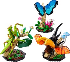 The Insect Collection revealed!