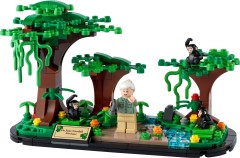 Jane Goodall Tribute available now
