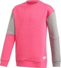 <h1>Adidas Bricks Sweatshirt</h1><div class='tags floatleft'><a href='/sets/5006558-1/Adidas-Bricks-Sweatshirt'>5006558-1</a> <a href='/sets/theme-Gear'>Gear</a> <a class='subtheme' href='/sets/subtheme-Clothing-Adidas'>Clothing / Adidas</a> <a class='year' href='/sets/theme-Gear/year-2021'>2021</a> </div><div class='floatright'>©2021 LEGO Group</div>