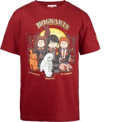 <h1>Harry Potter T-Shirt – Burgundy Red</h1><div class='tags floatleft'><a href='/sets/5008032-1/Harry-Potter-T-Shirt-–-Burgundy-Red'>5008032-1</a> <a href='/sets/theme-Gear'>Gear</a> <a class='subtheme' href='/sets/subtheme-Clothing'>Clothing</a> <a class='year' href='/sets/theme-Gear/year-2023'>2023</a> </div><div class='floatright'>&copy;2023 LEGO Group</div>