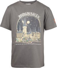 <h1>Harry Potter T-Shirt Gray</h1><div class='tags floatleft'><a href='/sets/5008033-1/Harry-Potter-T-Shirt-Gray'>5008033-1</a> <a href='/sets/theme-Gear'>Gear</a> <a class='subtheme' href='/sets/subtheme-Clothing'>Clothing</a> <a class='year' href='/sets/theme-Gear/year-2023'>2023</a> </div><div class='floatright'>&copy;2023 LEGO Group</div>