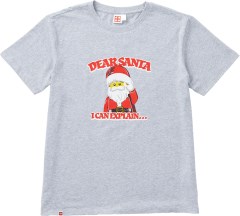 Adults Short Sleeve Dear Santa T Shirt