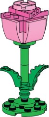 Micro rose rose