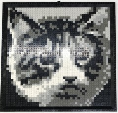 <h1>Mosaic Cat</h1><div class='tags floatleft'><a href='/sets/K34431-1/Mosaic-Cat'>K34431-1</a> <a href='/sets/theme-Basic'>Basic</a> <a class='subtheme' href='/sets/subtheme-Mosaic'>Mosaic</a> <a class='year' href='/sets/theme-Basic/year-2003'>2003</a> </div><div class='floatright'>©2003 LEGO Group</div>